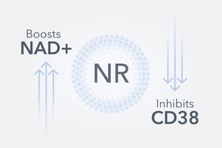 The Double Action of Niagen®: Boosting NAD+ While Inhibiting CD38