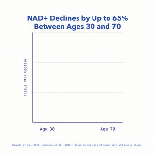 Line chart showing that NAD+ levels in tissue decline by up to 65% between ages 30 and 70. The graph curves downward from age 30 to age 70, indicating a steady decrease. Text on the chart reads “NAD+ Decline ↓ 65%.” Source: Massudi et al., 2012; Janssens et al., 2022, based on analysis of human skin and muscle tissue.