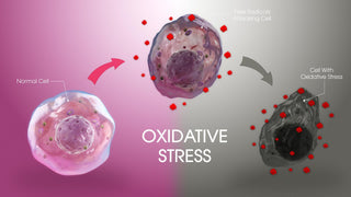 What Is Oxidative Stress? Causes, Effects & the Role of NAD+