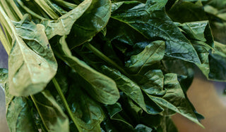 Why Some of Our Best Habits Are Actually "Bad" for Us