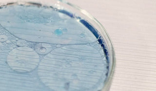 How Do Cells Repair Themselves?