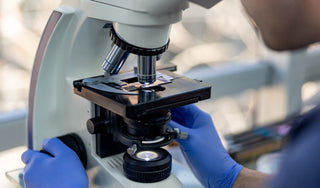 How Does Cellular Repair Work?