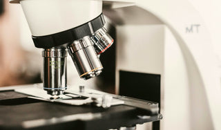 A Closer Look into One of Our Clinical Studies