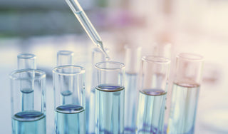 What Is a Coenzyme?
