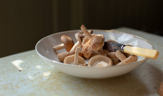 The Importance of Balanced Methylation and Its Relationship to NAD+