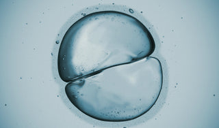 What Is Mitochondrial Biogenesis?