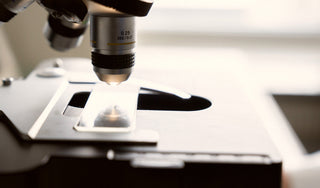 Niagen® Research: The Latest Science