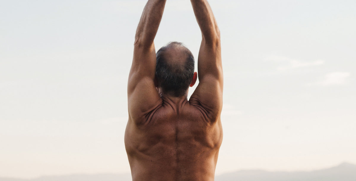 Muscle Cell Health